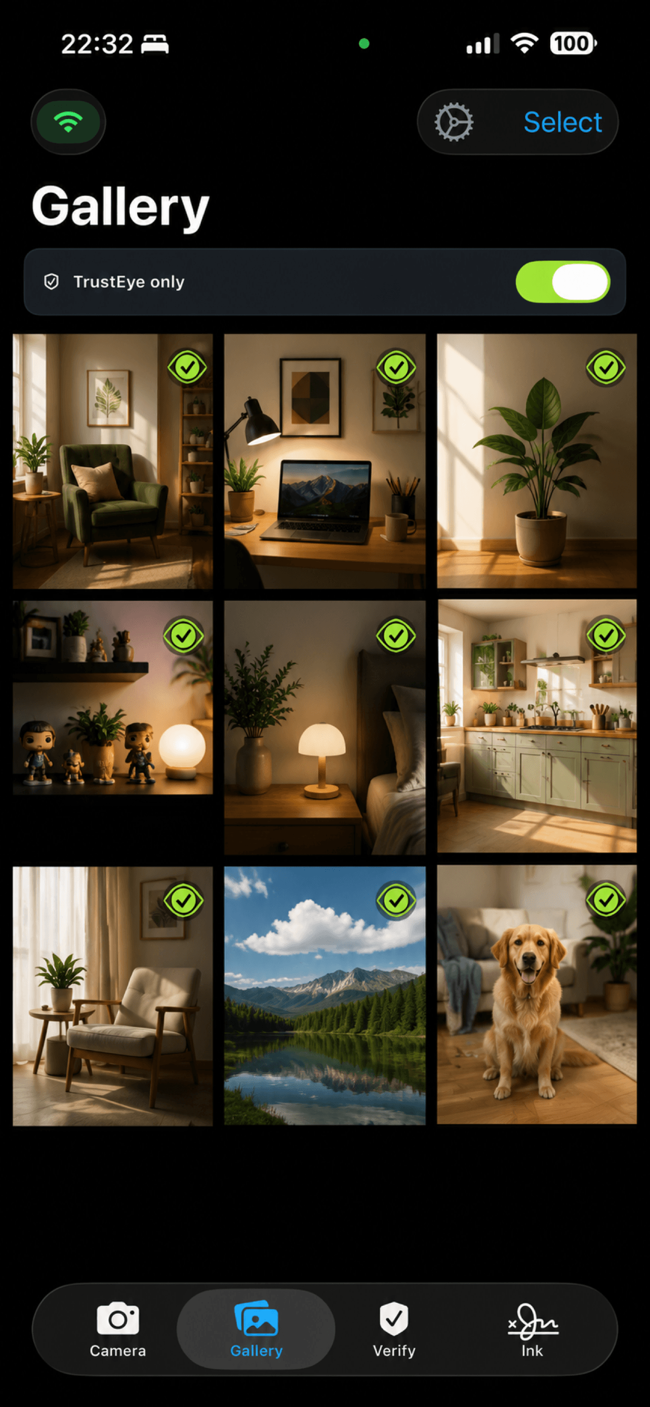 TrustEye gallery screen